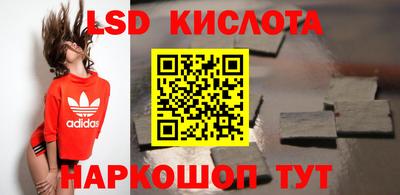 Альфа ПВП Ставрополь