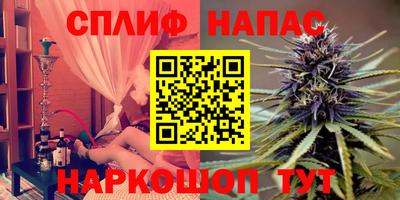 Альфа ПВП Ставрополь