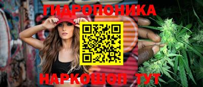 Альфа ПВП Ставрополь