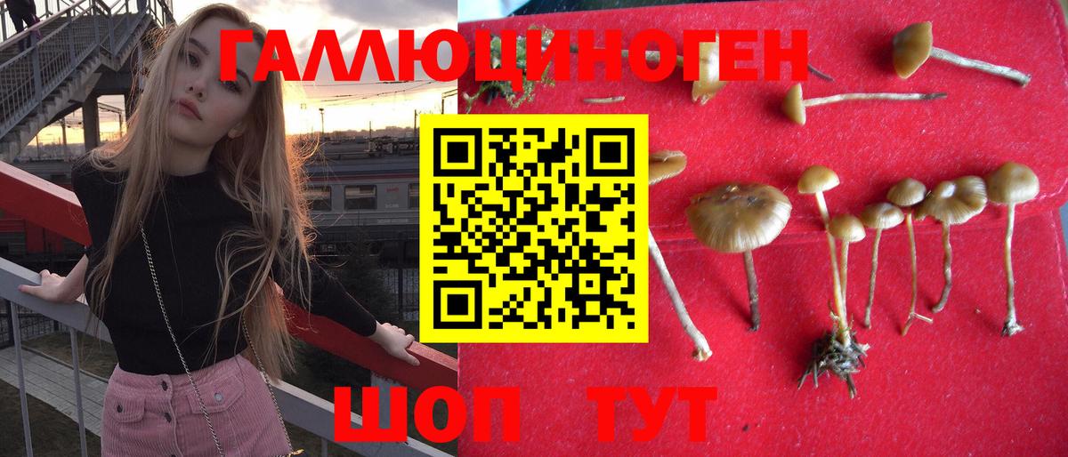 Псилоцибиновые грибы Magic Shrooms  Галлюциногенные грибы прущие грибы  Ноябрьск  Вход с VPN 